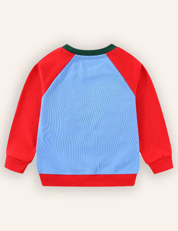 Dinosaur Embroidered Sweatshirt