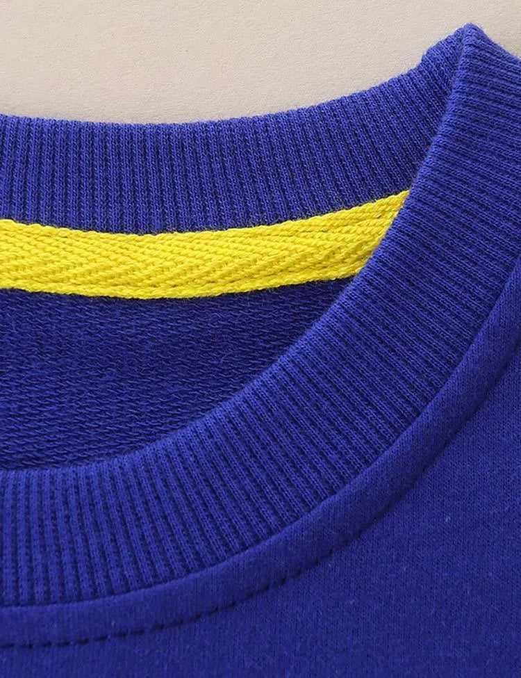 Bird Flower Appliqué Sweatshirt - Mini Taylor