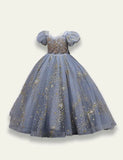Long Sequin Mesh Party Dress - Mini Taylor