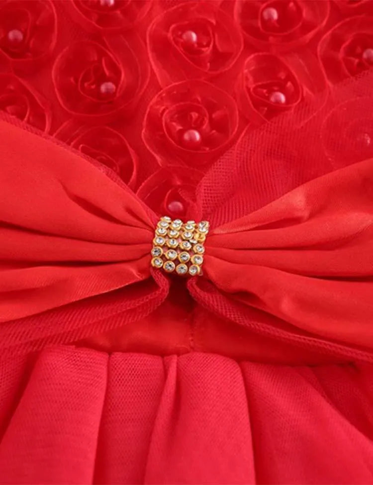 Rose Mesh Party Dress - Mini Taylor