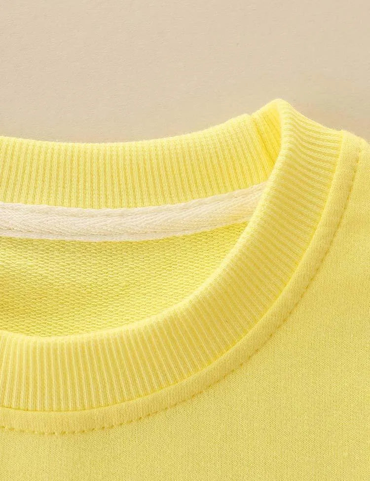Shy Rabbit Appliqué Carrot Embroidered Sweatshirt - Mini Taylor