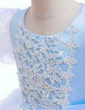 Cinderella Puff Sleeve Party Dress - Mini Taylor