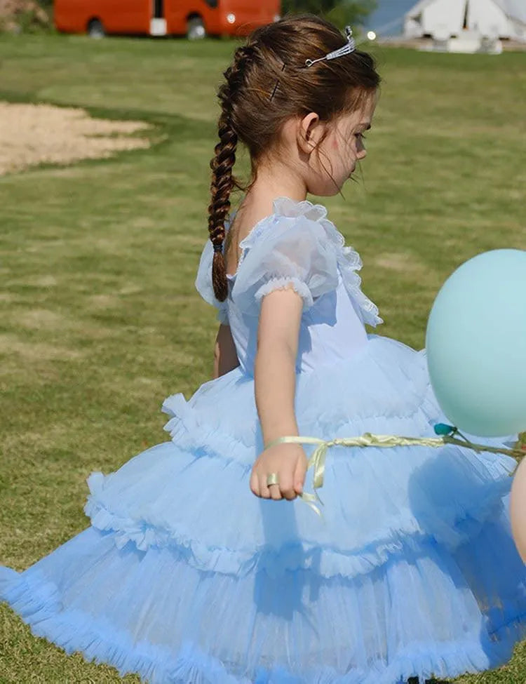 Gradient Tulle Princess Dress - Mini Taylor