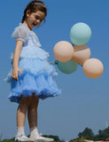 Gradient Tulle Princess Dress - Mini Taylor