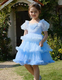 Gradient Tulle Princess Dress - Mini Taylor