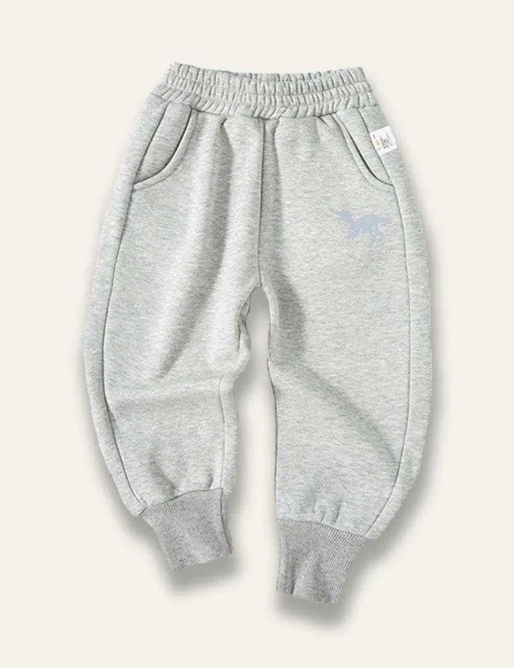 Little Dinosaur Printed Cotton Pants - Mini Taylor