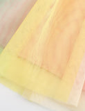 Shining Butterfly Printed Rainbow Tulle Dress