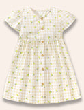 Lemon Printed Botton Dress