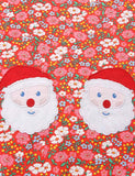 Christmas Santa Claus Appliqué Floral Dress