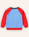 Dinosaur Embroidered Sweatshirt