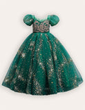 Sequin Embroidered Tulle Long Party Dress