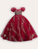 Sequin Embroidered Tulle Long Party Dress