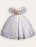 Sequin Embroidered Tulle Long Party Dress