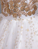 Sequin Embroidered Tulle Long Party Dress