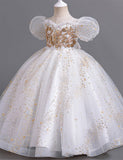 Sequin Embroidered Tulle Long Party Dress