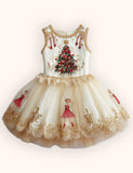 Christmas Ballet Tulle Appliqué Dress