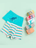 Dinosaur Print Boxer Shorts - Mini Taylor