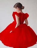 Flounced Sleeve Mesh Party Dress - Mini Taylor
