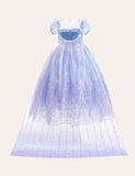 Frozen Mesh Party Dress - Mini Taylor