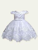 Lace Embroidered Dress - Mini Taylor