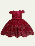 Lace Embroidered Dress - Mini Taylor