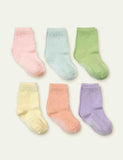 Pure Cotton Socks - Mini Taylor