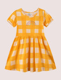 Rainbow Plaid Dress - Mini Taylor