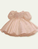 Retro Puff Sleeve Princess Dress