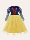 Snow White Mesh Party Dress