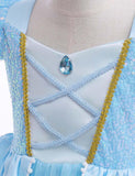 Cinderella Princess Party Dress - Mini Taylor