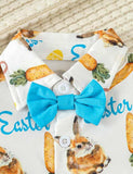 Easter Cartoon Rabbit Carrot Printed Suit - Mini Taylor