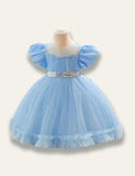 Floral Princess Tulle Party Dress - Mini Taylor