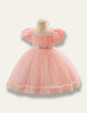 Floral Princess Tulle Party Dress - Mini Taylor