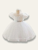 Floral Princess Tulle Party Dress - Mini Taylor