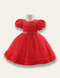 Floral Princess Tulle Party Dress - Mini Taylor