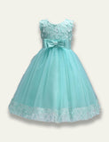 Flower Princess Mesh Dress - Mini Taylor