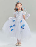 Frozen Elsa Princess Butterfly Mesh Dress - Mini Taylor