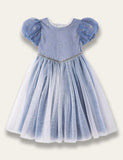 Frozen Elsa Princess Party Dress - Mini Taylor