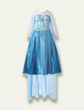 Princess Elsa Floral Party Dress - Mini Taylor