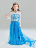 Princess Elsa Floral Party Dress - Mini Taylor