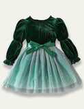 Velvet Gradient Tulle Princess Dress - Mini Taylor