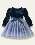 Velvet Gradient Tulle Princess Dress - Mini Taylor